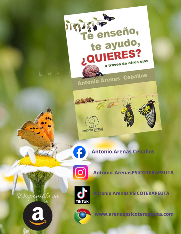 Te enseño, te ayudo.